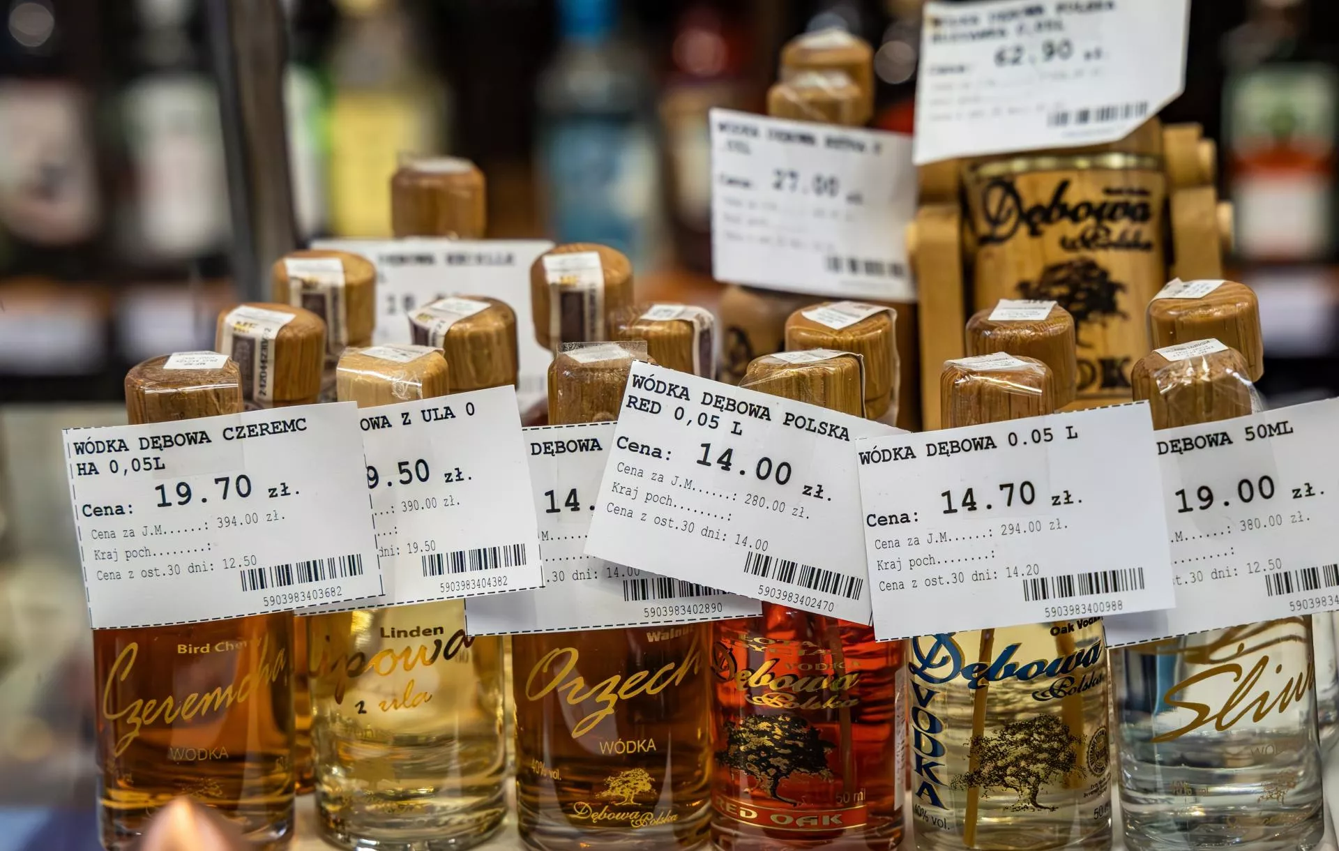 Rząd pójdzie na wojnę z małpkami?! "Wkrótce zapadną decyzje"