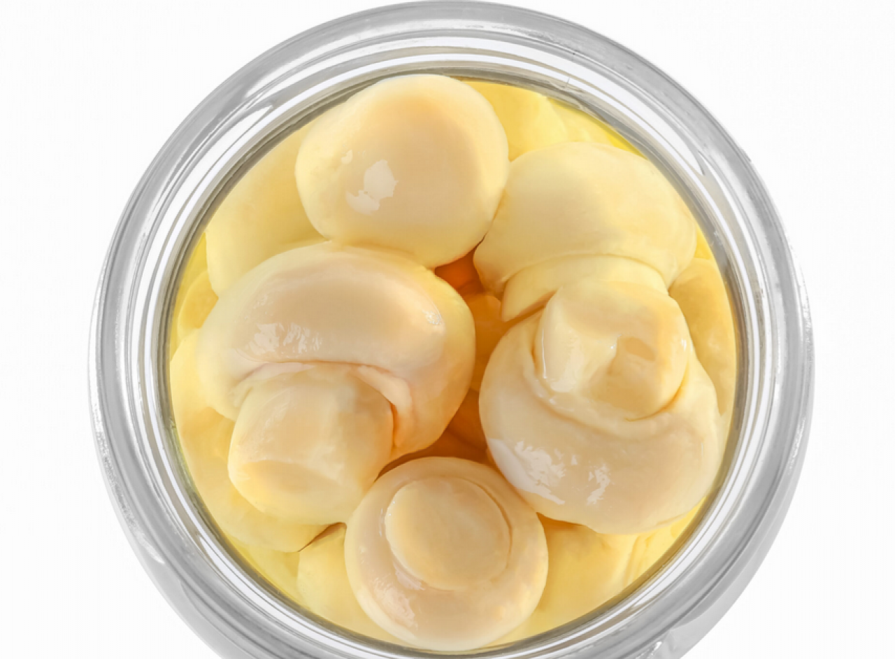 Okechamp Group – lider produkcji i przetwórstwa pieczarek w Europie