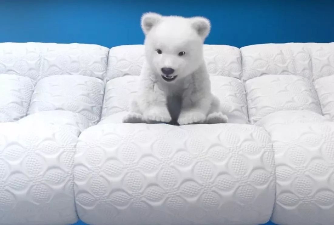 Papier toaletowy to inwestycja w przyszłość. Velvet Care przyspiesza rozwój