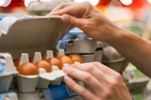 Jaja czasami pochodzą od ”nieszczęśliwych” kurek (fot. Shutterstock)