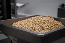 Orzechy nerkowca (fot. Hebar)