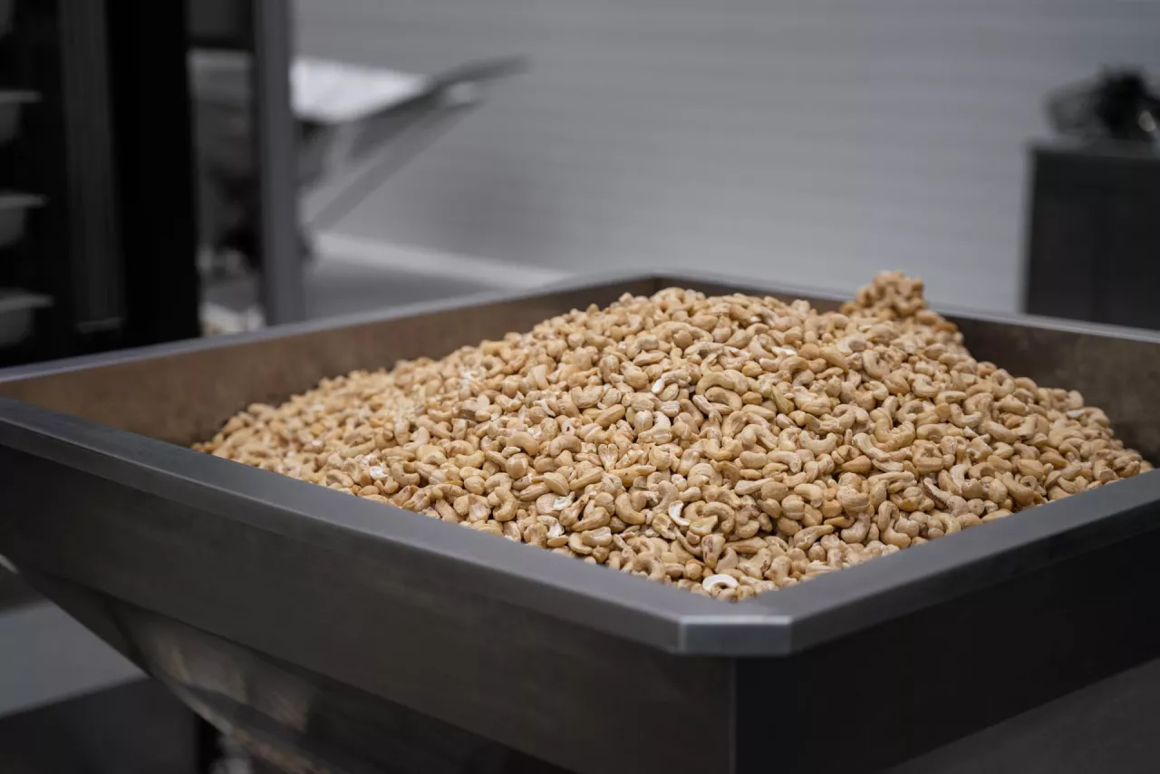 Orzechy nerkowca (fot. Hebar)