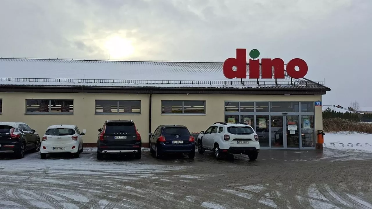 Dino w Dawidach Bankowych k. Warszawy (fot. wiadomoscihandlowe.pl)