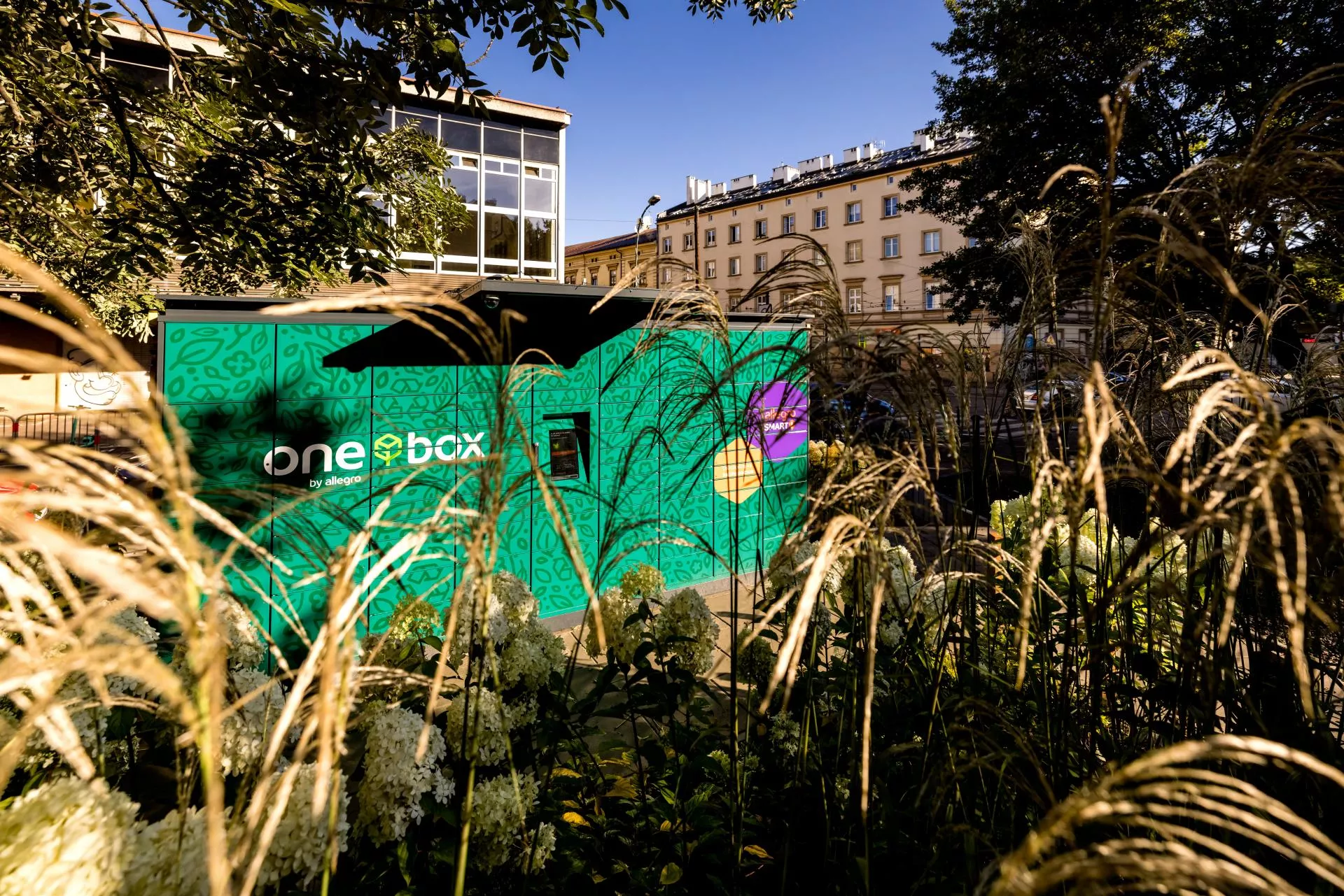 Allegro rozwija usługę One Fulfillment. Właśnie ogłosiło zmiany