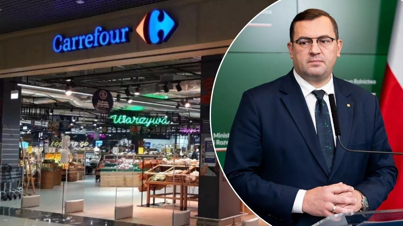 Krajewski oficjalnie chce przejęcia 750 sklepów Carrefoura. Powstanie państwowy gigant? (fot. Shutterstock + MRiRW)