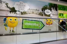 Na zdj. białostocka Stokrotka (fot. Karolis Kavolelis/Shutterstock)