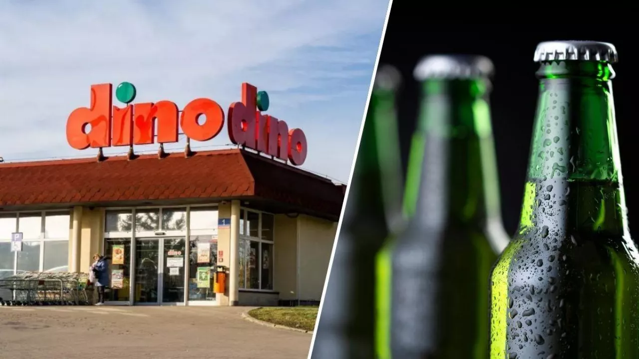Dino wprowadza promocją piwa 10 + 10 gratis na majówkę 2025 (fot. Dino + Canva)