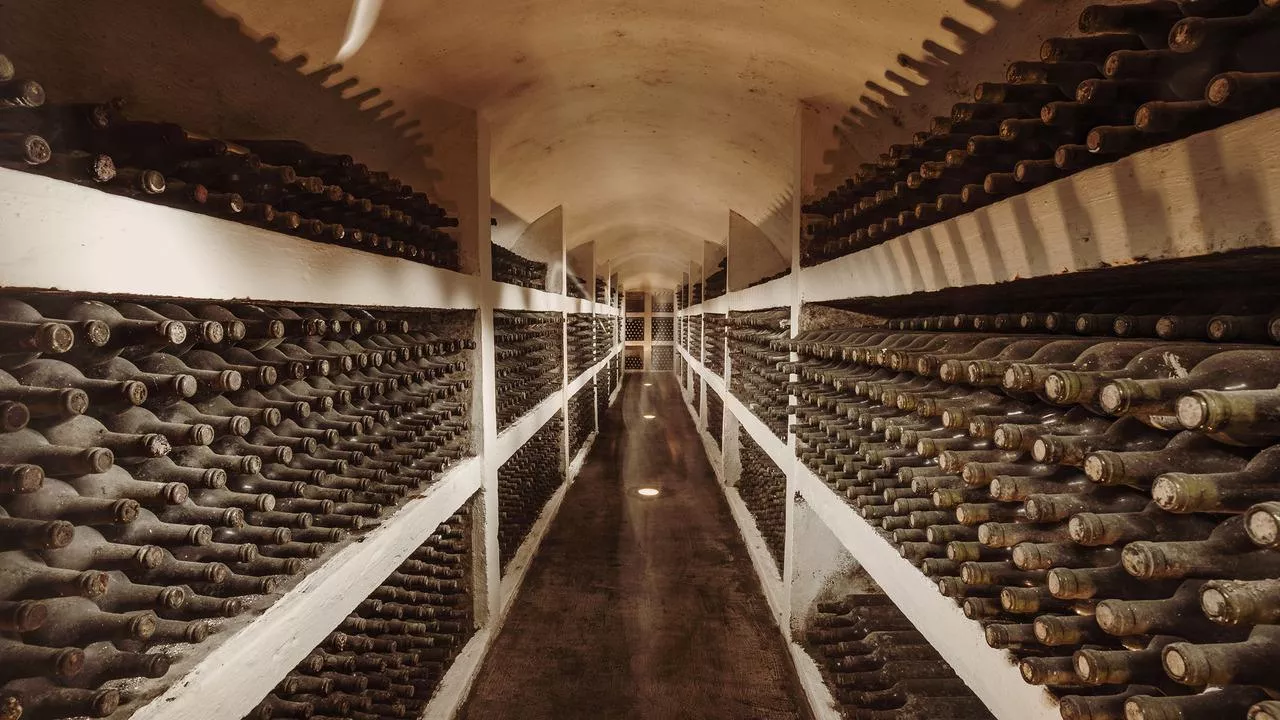 Maspex znowu przejmuje! Rozbuduje Purcari do pozycji globalnego potentata