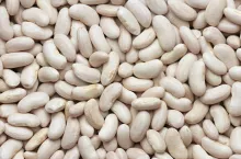 Rośliny strączkowe zajmują wysoką pozycję w preferencjach żywieniowych Polaków. (fot. Shutterstock)