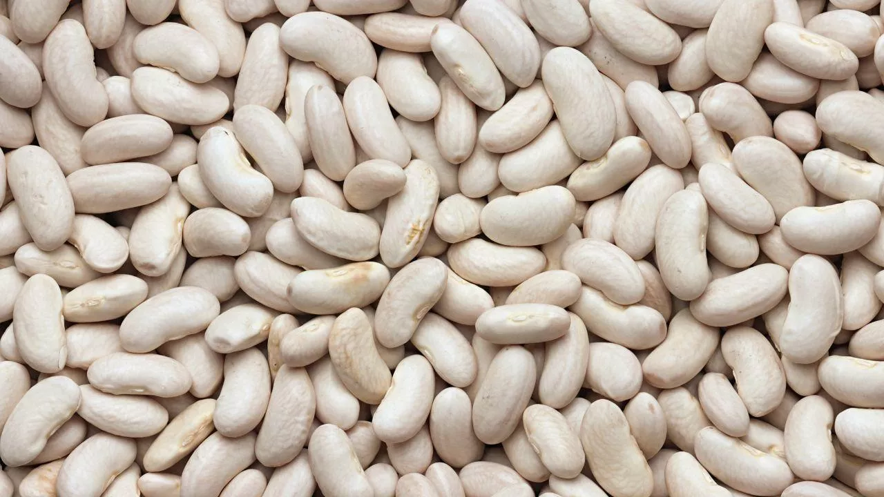 Rośliny strączkowe zajmują wysoką pozycję w preferencjach żywieniowych Polaków. (fot. Shutterstock)