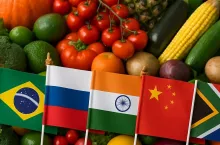 Nowe zasady znakowania owoców, warzyw i bananów będą obowiązywać od 17 lutego 2026 (fot. Shutterstock)