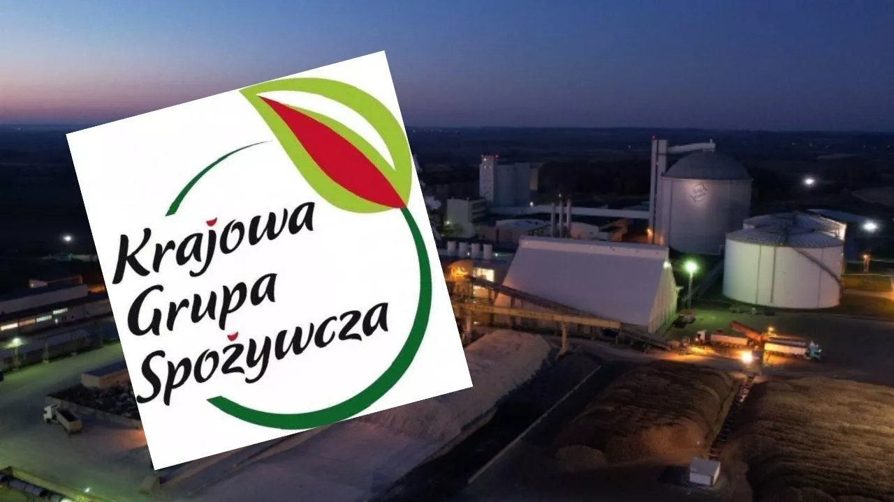 KGS jest największym producentem cukru w Polsce (fot. Krajowa Grupa Spożywcza)