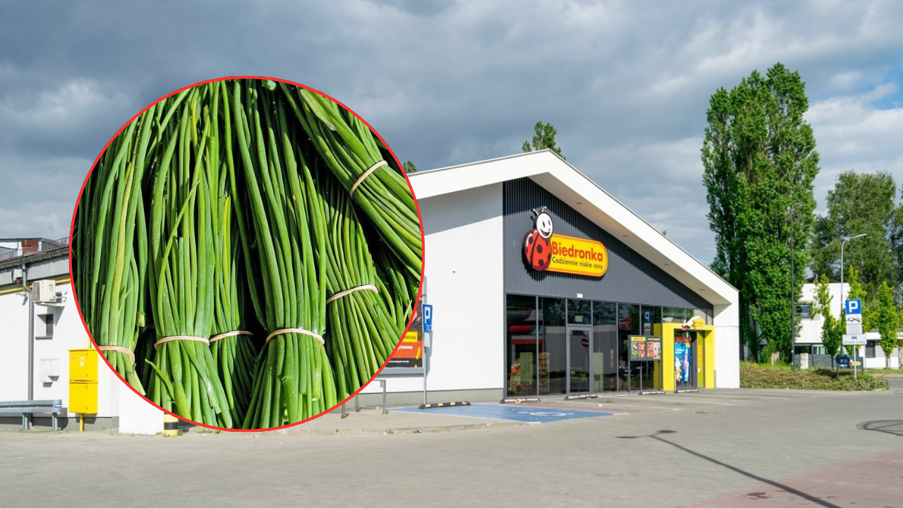 Dlaczego Biedronka ściąga szczypiorek z Kenii? (fot. Shutterstock)