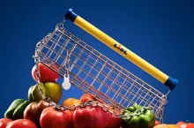 Kolejny modowy projekt Lidla - ”Trolley Bag” (fot. Lidl)