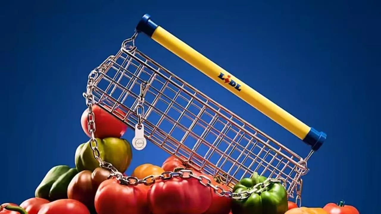 Kolejny modowy projekt Lidla - ”Trolley Bag” (fot. Lidl)