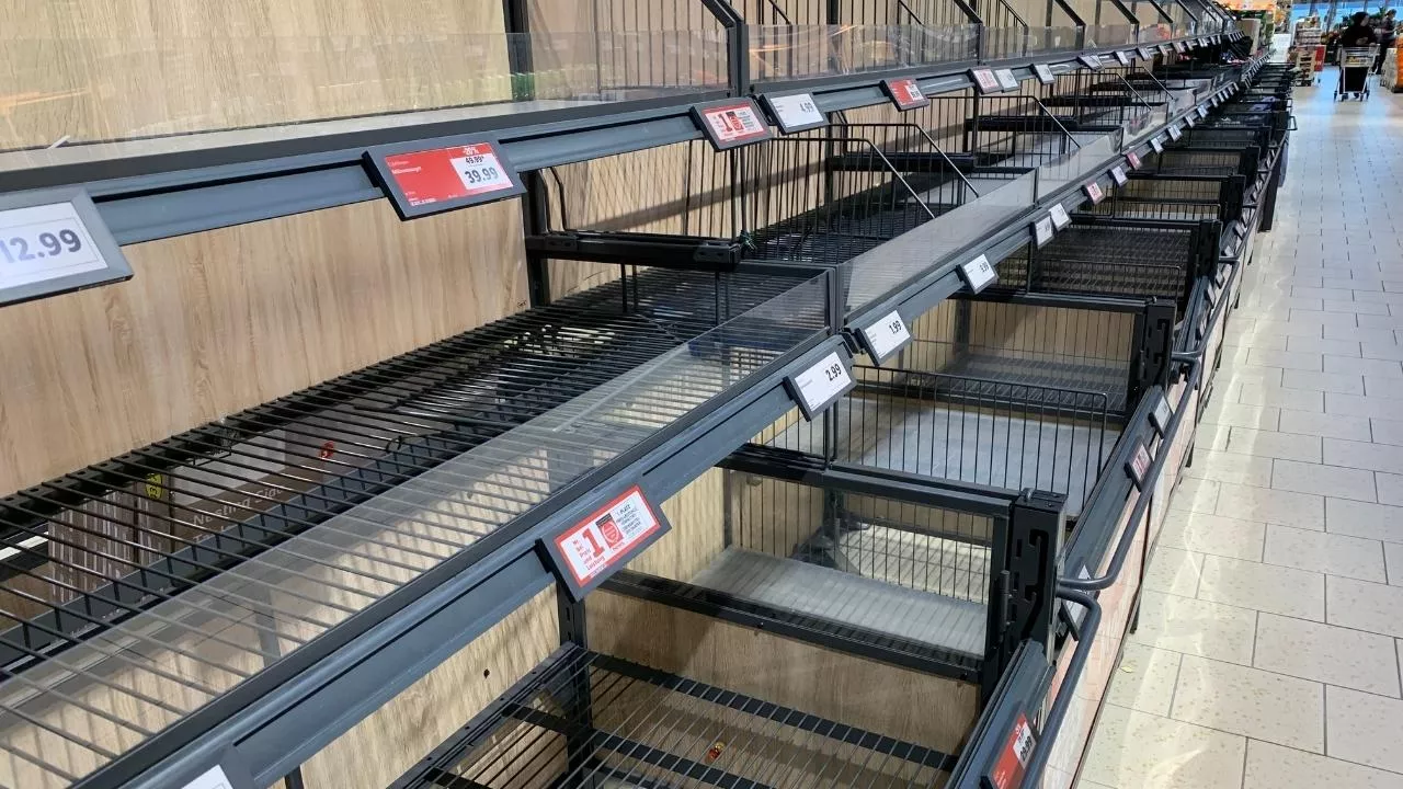 Lidl oficjalnie pożegnał jaja pochodzące od kur z chowu klatkowego (fot. shutterstock)