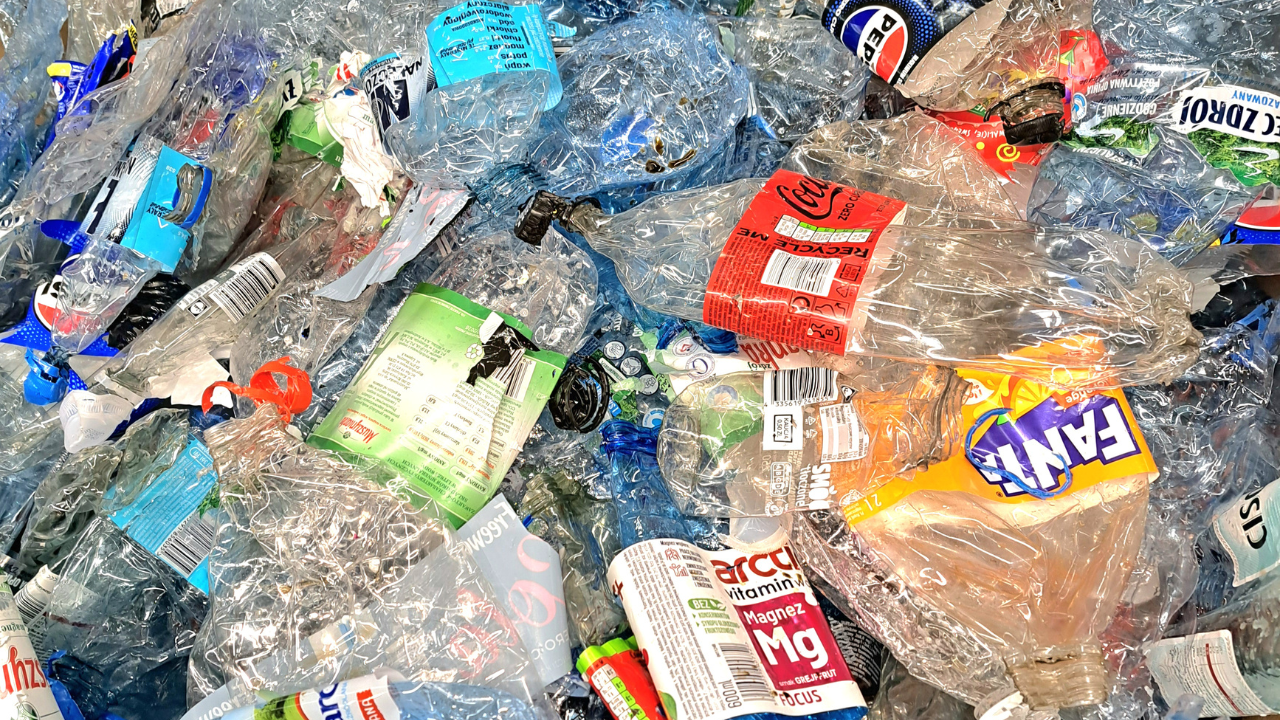 System kaucyjny nabiera rozpędu. Mamy nowego operatora kaucyjnego (fot. Wiadomości handlowe/Katarzyna Pierzchała)