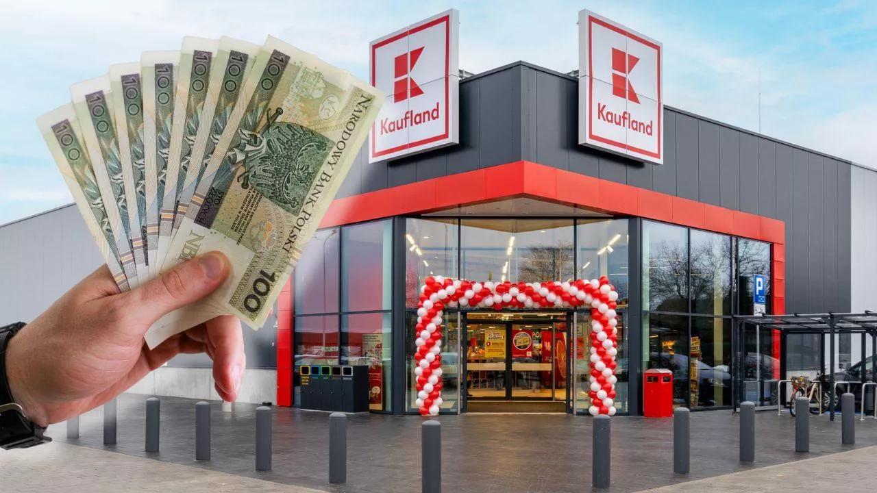 60 mln zł na podwyżki w Kauflandzie. Tyle zarobi magazynier i menedżer [STAWKI] (fot. Canva + Kaufland Polska)