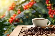 Niestabilność pogodowa w Ameryce Południowej to niemal gwarantowana presja na wzrost cen kawy na sklepowych półkach (fot. Shutterstock)