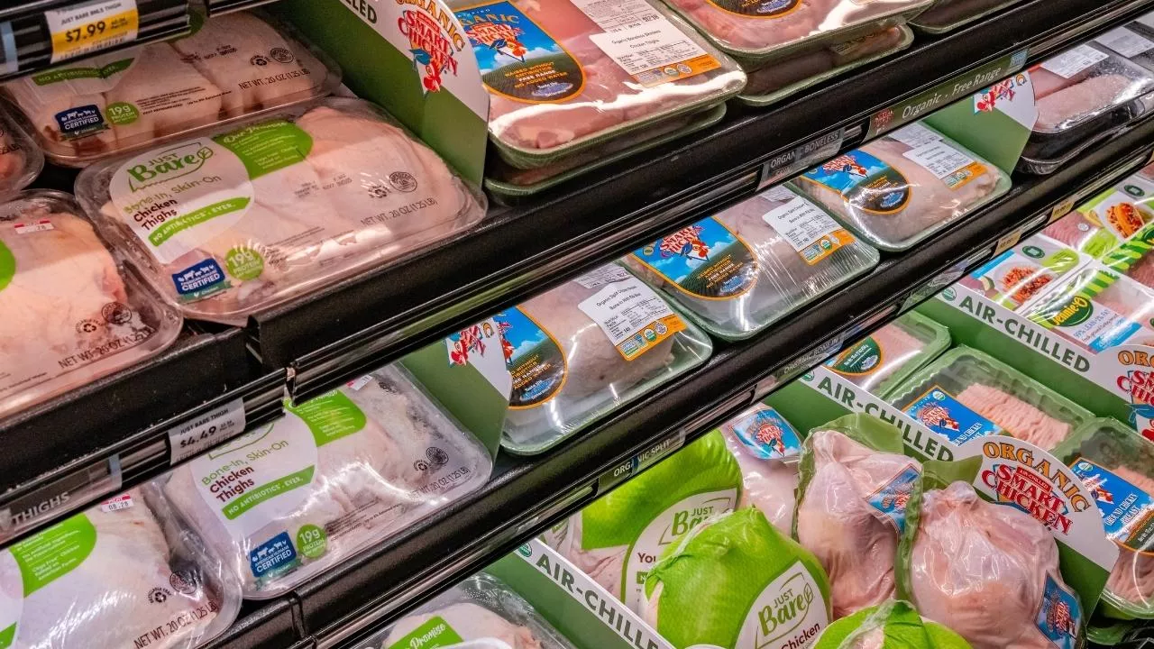 Drób pod lupą urzędników. Nowe porządki UE już obowiązują, szykuj się na zmiany