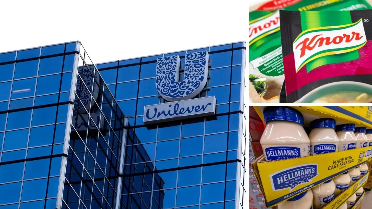 Unilever może sprzedać marki Knorr i Hellmann‘s (fot. Shutterstock)