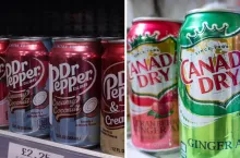 Polska staje się priorytetowym rynkiem dla marek Dr Pepper i Canada Dry (fot. Shutterstock)