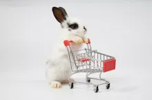 Wielkanocne zakupy pod kontrolą. Konsumenci liczą wydatki (fot. Shutterstock)