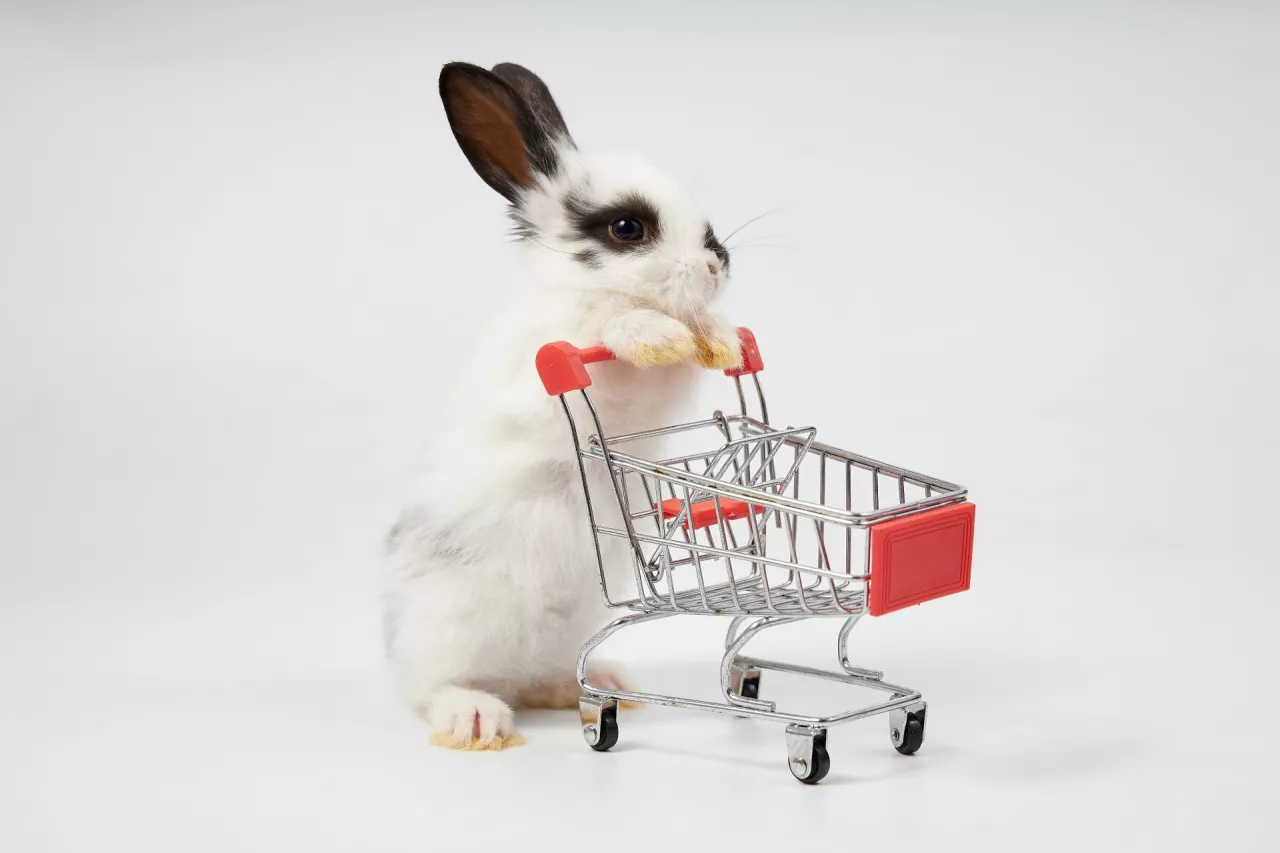 Wielkanocne zakupy pod kontrolą. Konsumenci liczą wydatki (fot. Shutterstock)