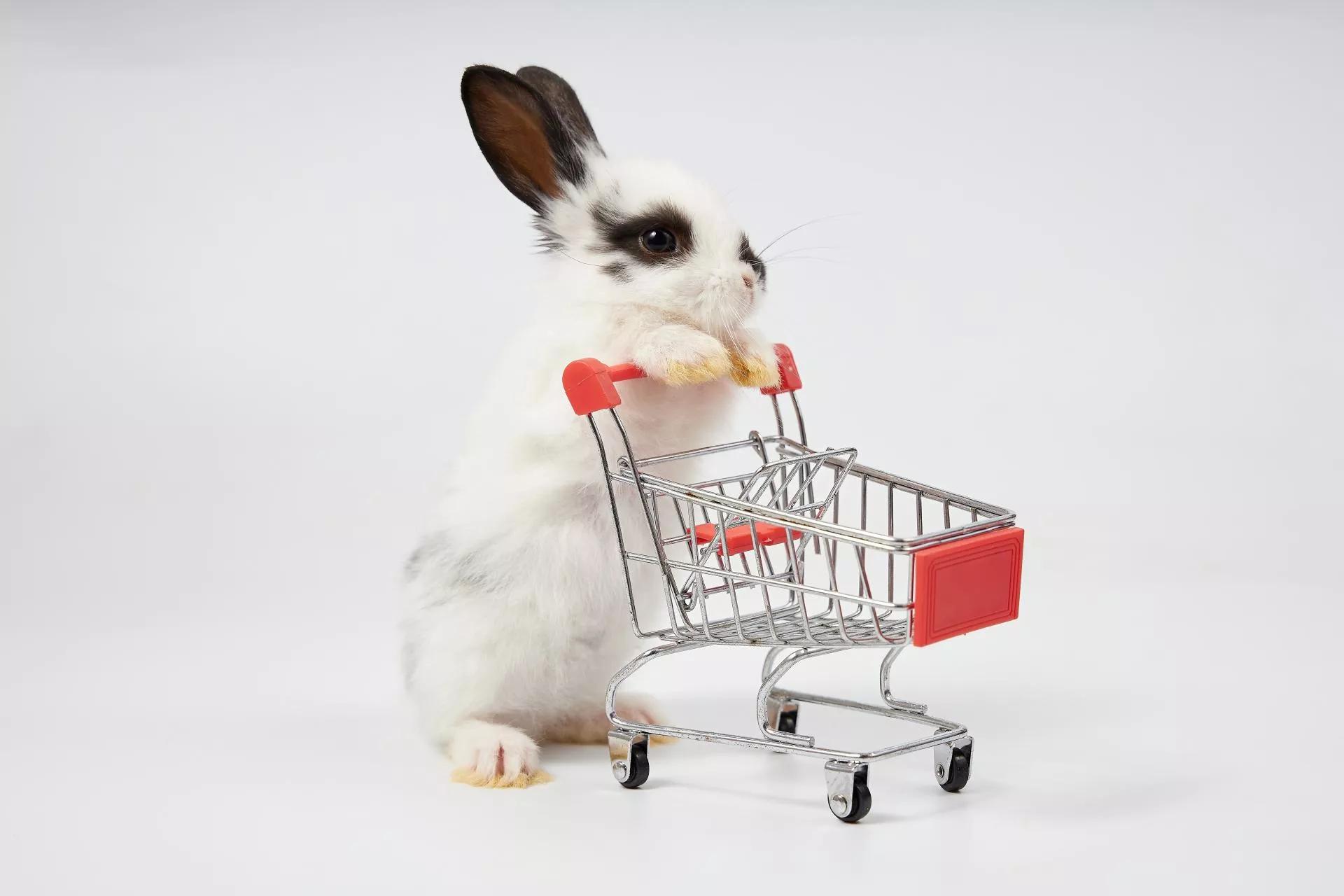 Inflacja wielkanocna 2026. Ile kosztuje koszyk świąteczny?