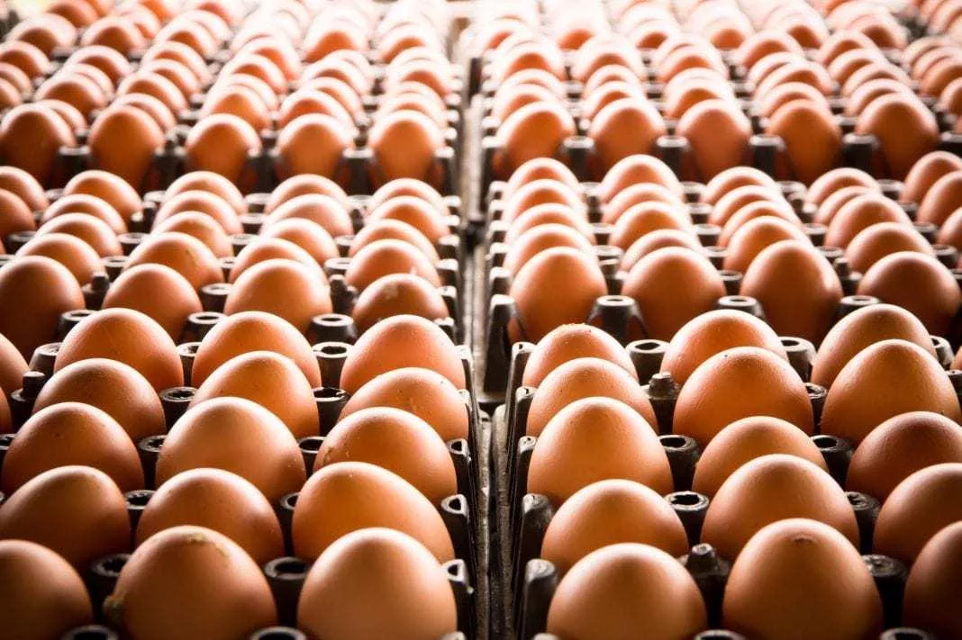 Coraz mniej promocji na jajka. Ceny w sklepach są mocno wyrównane