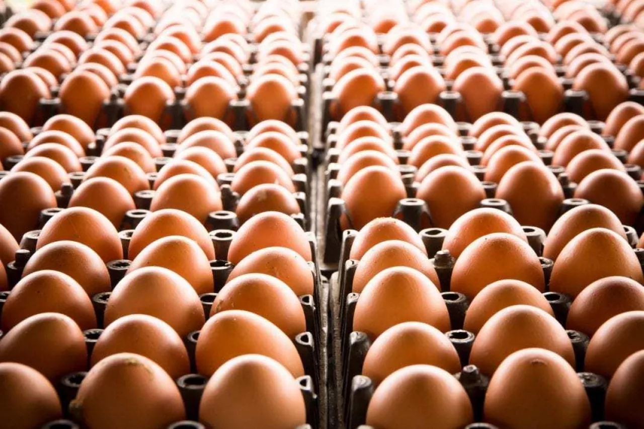 przed tegorocznymi świętami sieci handlowe zrobiły mniej akcji promocyjnych na jajka niż przed zeszłą Wielkanocą (fot. Shutterstock)