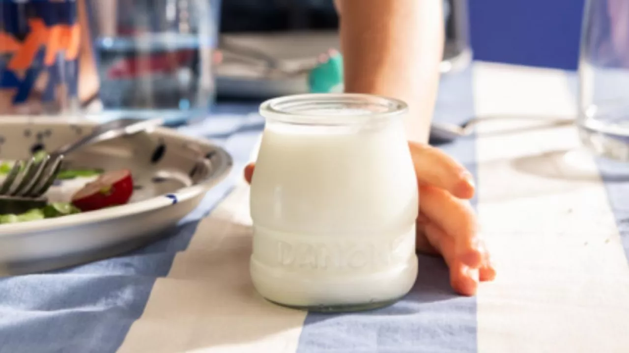 Danone zmienia receptury produktów (fot. mat. prasowe)