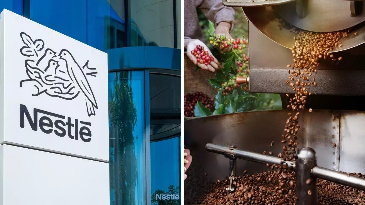 Nestlé chce działać na rzecz praw pracowniczych w łańcuchach dostaw kawy (fot. Shutterstock)