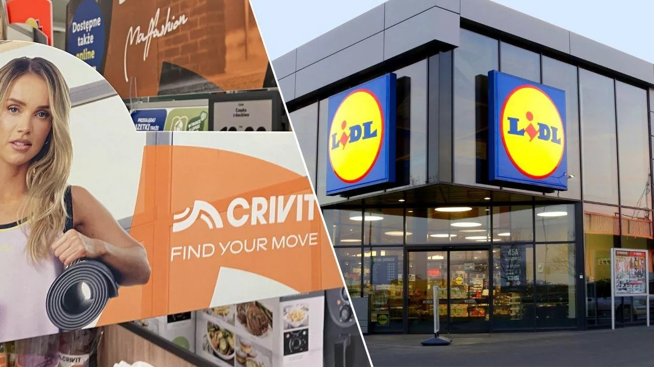 Lidl wprowadza rewolucję w ofercie non-food. Polska poligonem doświadczalnym (fot. Sebastian Rennack + Shutterstock)