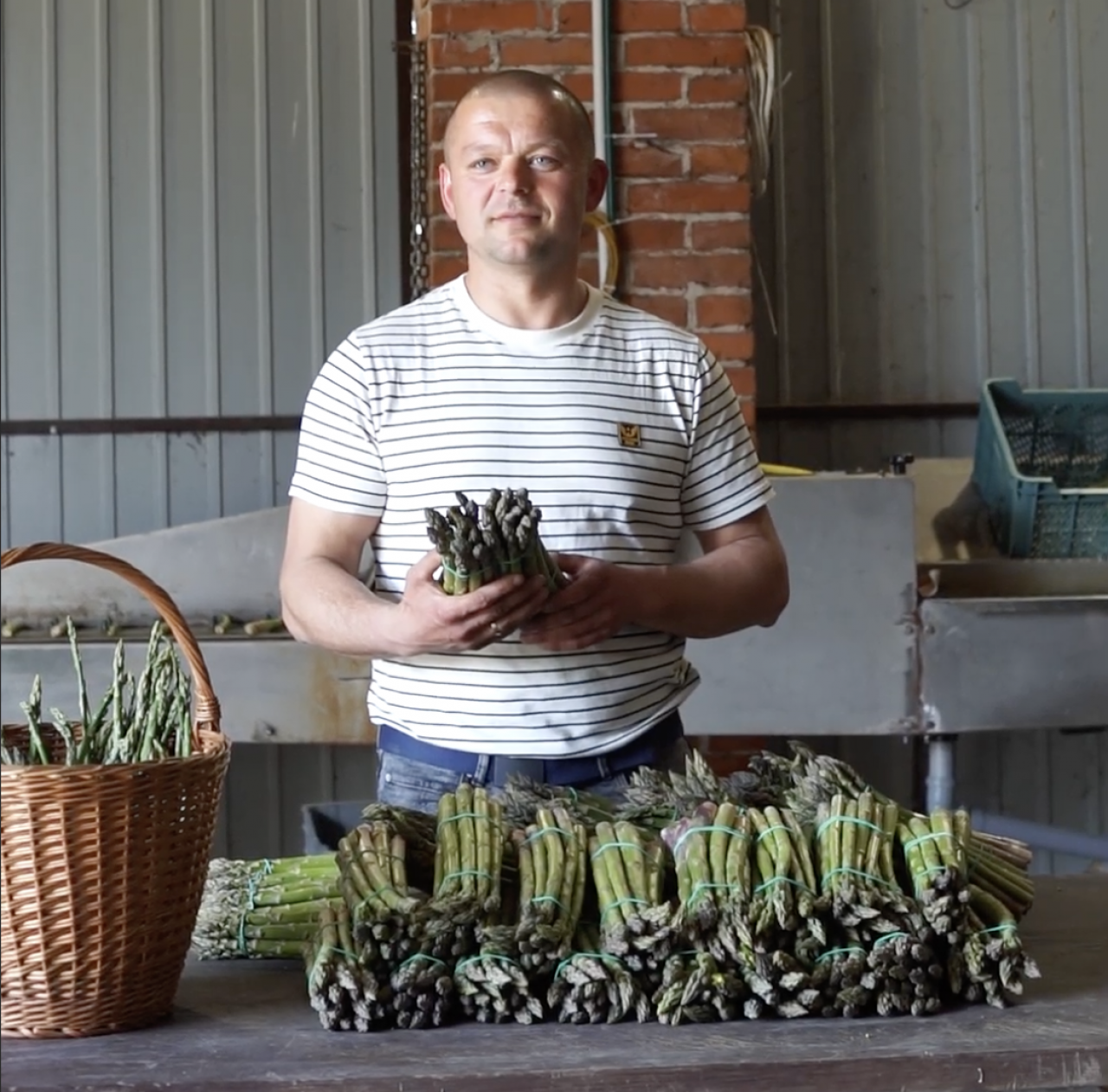 Rolnik Cezary Czapla z Lubelszczyzny, specjalizujący się w uprawie szparagów (fot. Delio)