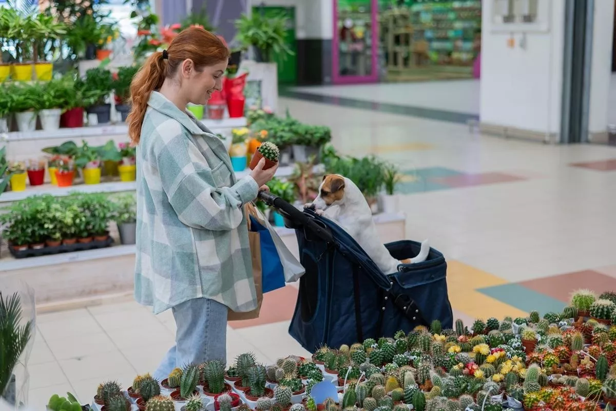 Starzy, bezdzietni, z psieckiem. Oto klienci przyszłości w Polsce [ANALIZA]