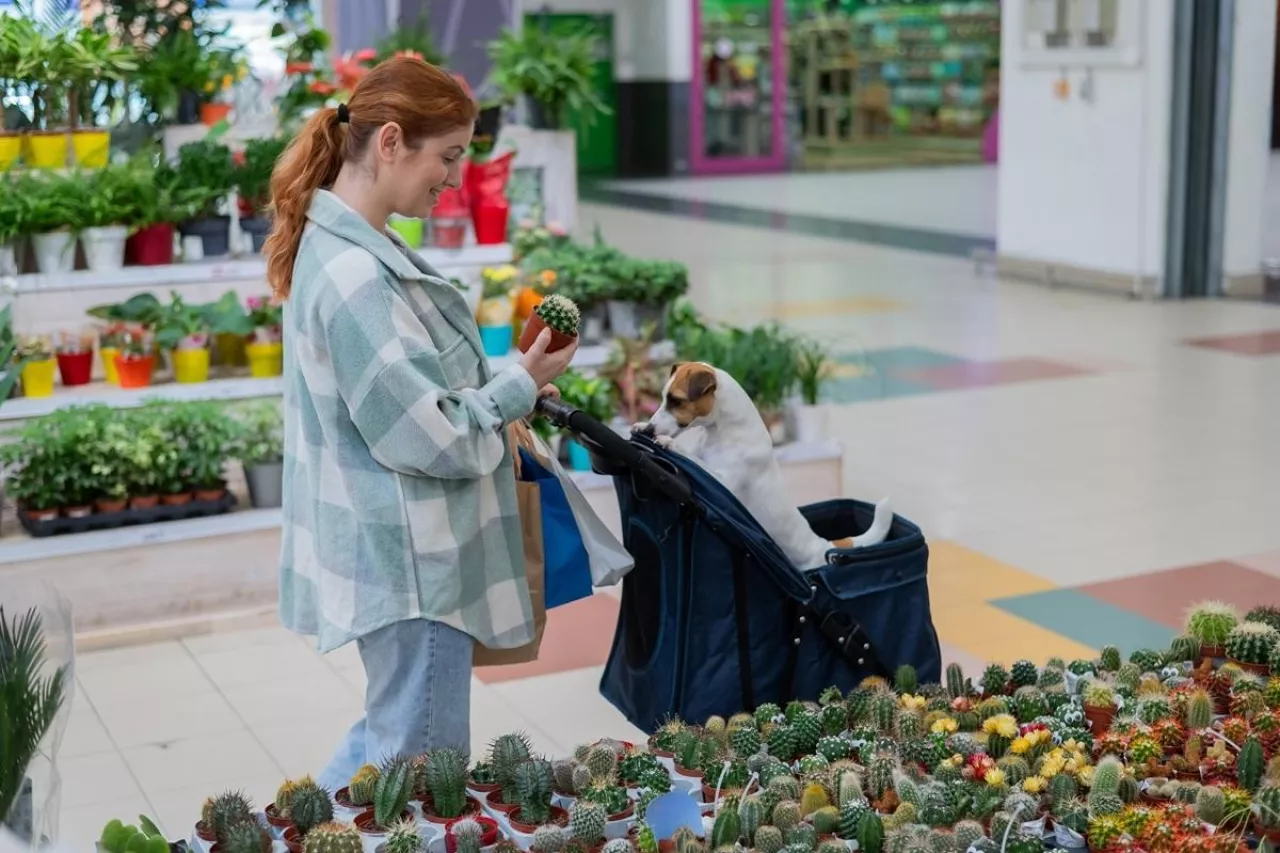 Sytuacja demograficzna realnie zmienia strukturę popytu i może wpłynąć na funkcjonowanie sklepów (fot. Shutterstock)