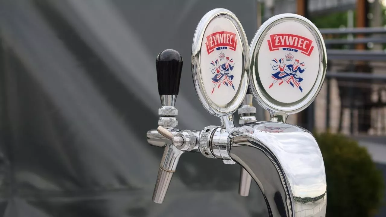 Grupa Żywiec inwestuje w automatyzację (fot. Shutterstock)
