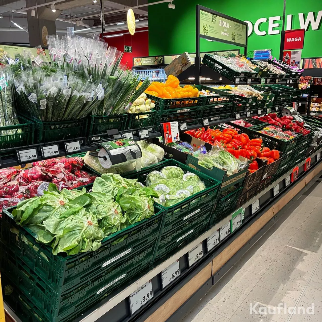 Stoisko warzywne w sklepie Kaufland (fot. Kaufland Polska)