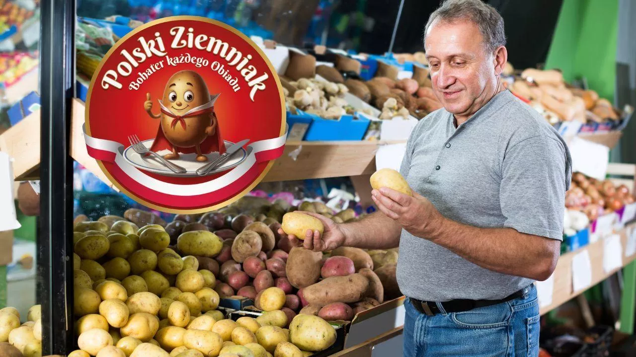 Ziemniaki za grosze w sklepach. Rusza akcja "Polski ziemniak – bohater każdego obiadu"