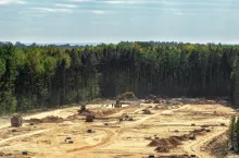 Przepisy rozporządzenia EUDR mają wejść w życie 30 grudnia (fot. Shutterstock)
