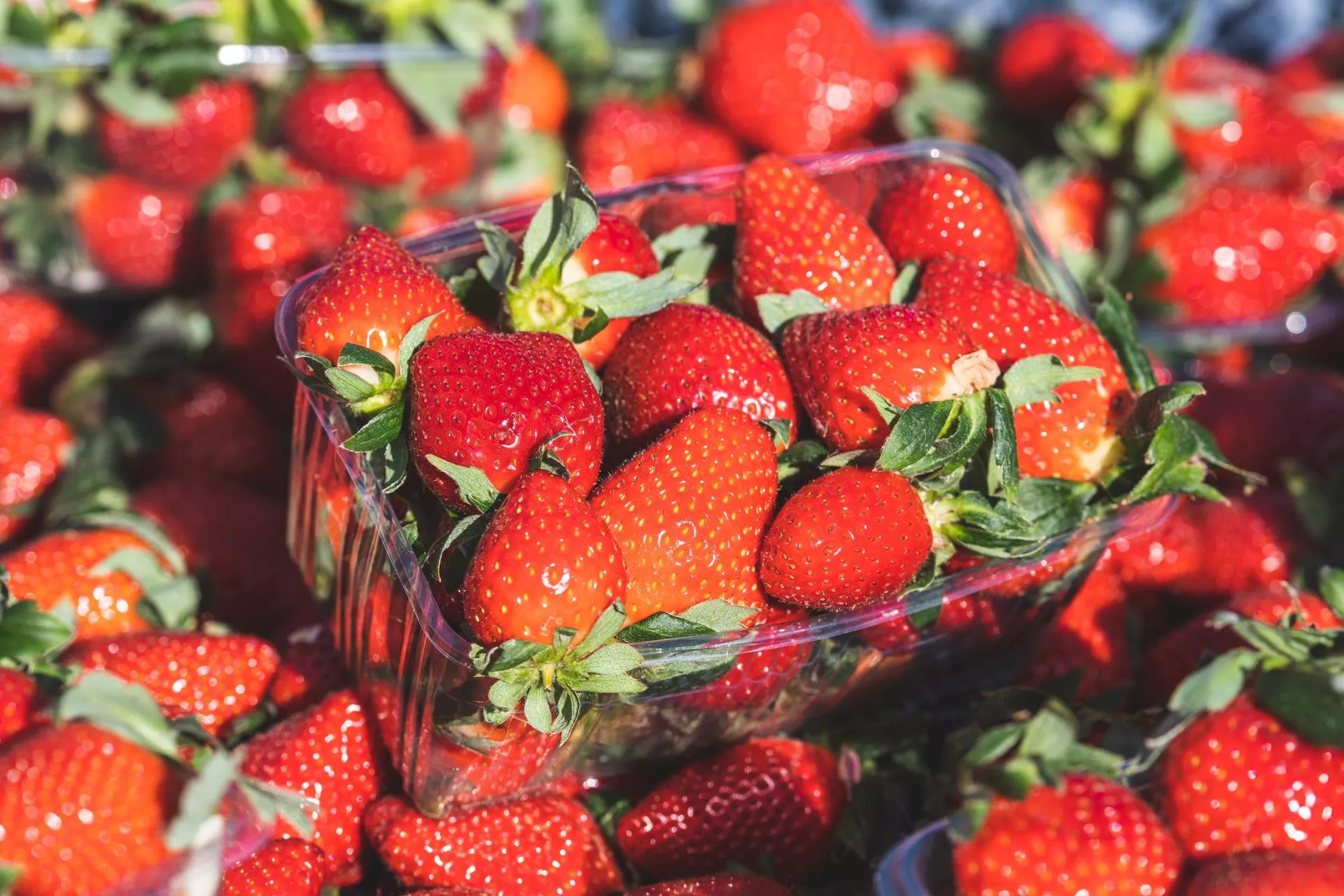 Truskawki drożeją, ogórki załamują producentów. Rynek warzyw i owoców pod presją