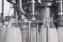 Spółka Milkpol z Czarnocina wypracowała 476 tys. zł zysku netto w I kwartale 2026 r. (fot. Shutterstock)