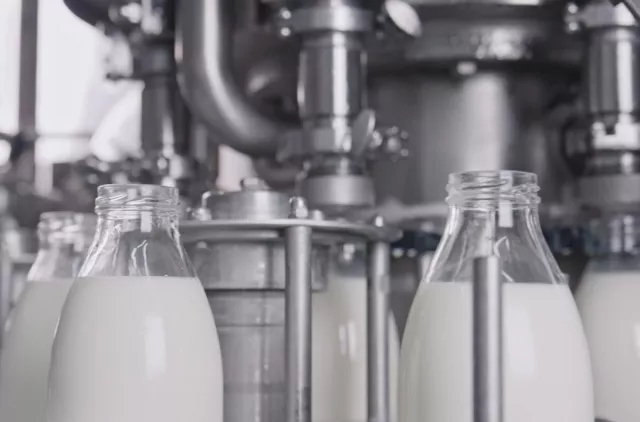 Milkpol wychodzi na prostą. Spółka z Czarnocina ścina koszty i notuje zysk