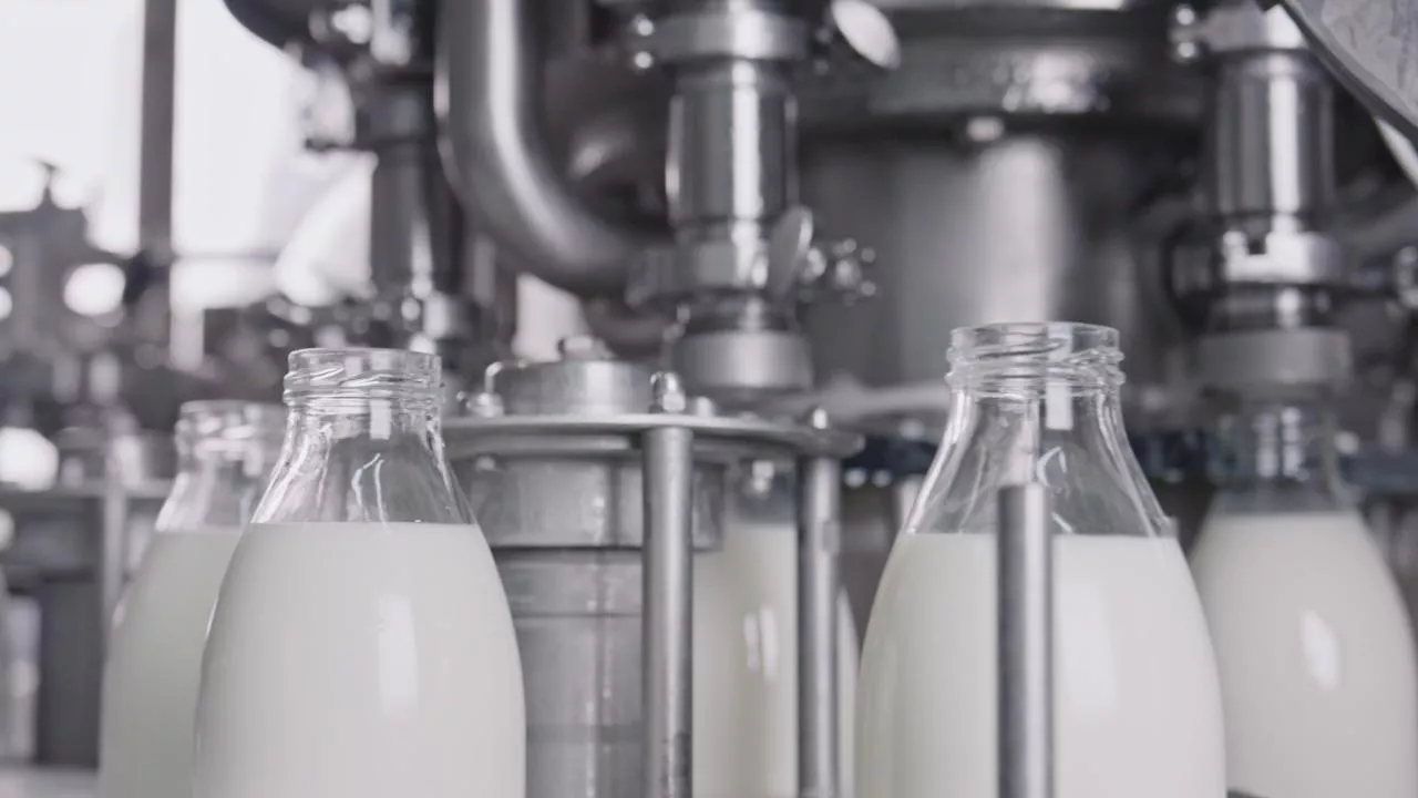 Spółka Milkpol z Czarnocina wypracowała 476 tys. zł zysku netto w I kwartale 2026 r. (fot. Shutterstock)