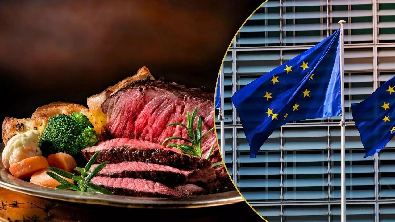 UE zakazuje importu mięsa z Brazylii. ”Koniec podwójnych standardów”. A co z okresem przejściowym? (fot. Canva)