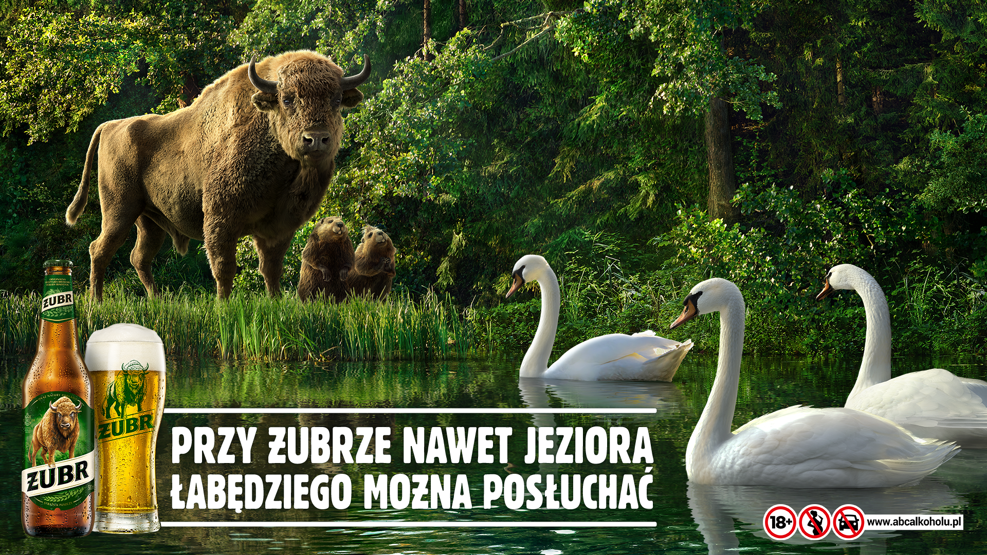 Czego inne marki mogą nauczyć się od Żubra?