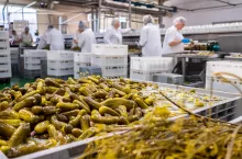 Polan - produkcja dziś (fot. Polan)