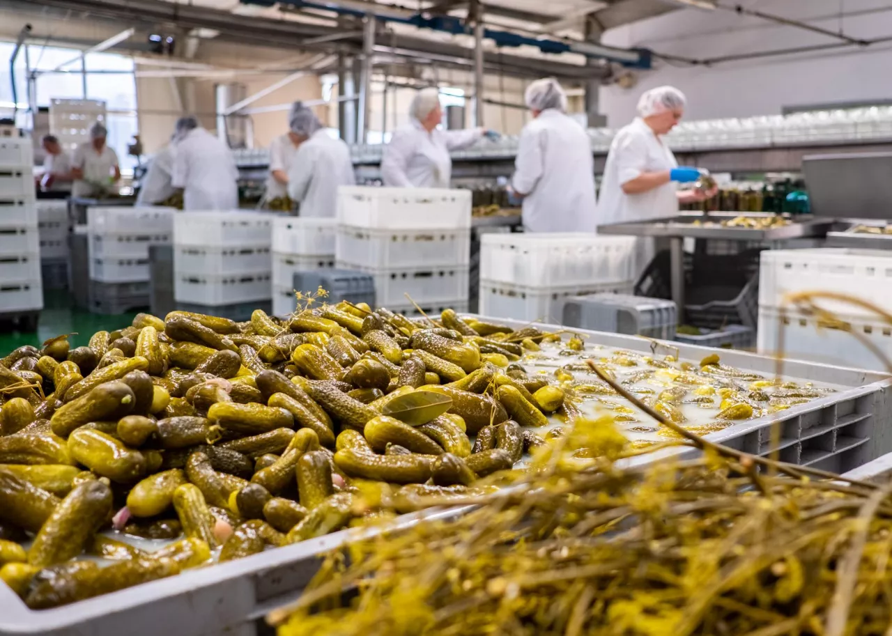 Polan - produkcja dziś (fot. Polan)