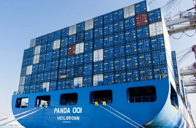 Lidl wzmacnia logistyczną niezależność. "Panda 001” pod niemiecką banderą